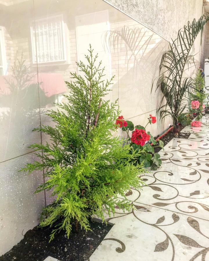 Shahal Apartments Beersheba Eksteriør bilde